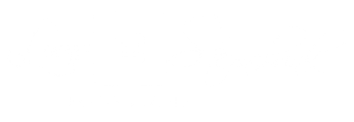 No Blog Title Set